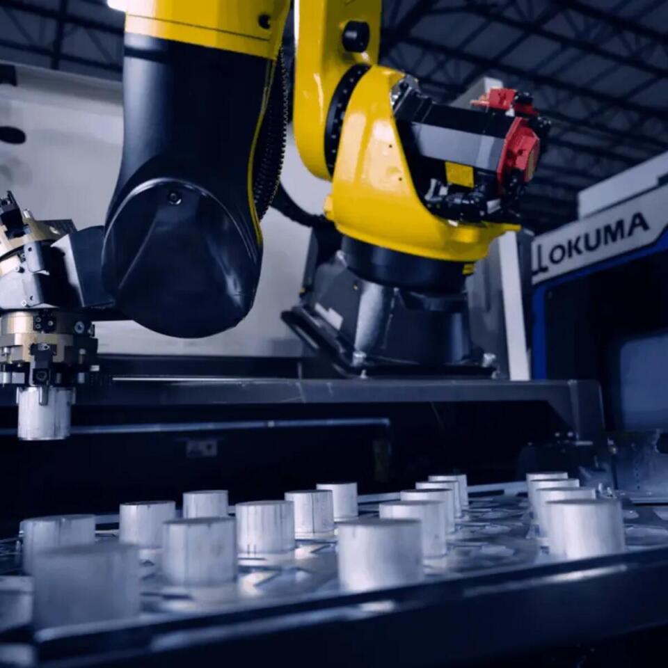 Robotic Systems That Are Just Right
